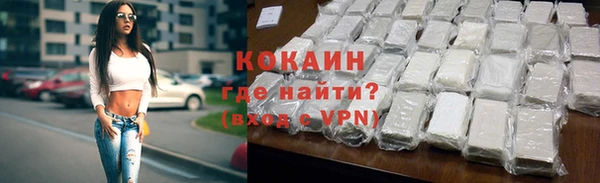 гидра Вязьма