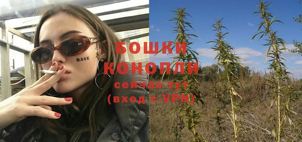 крисы Волоколамск