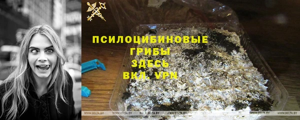 крисы Волоколамск