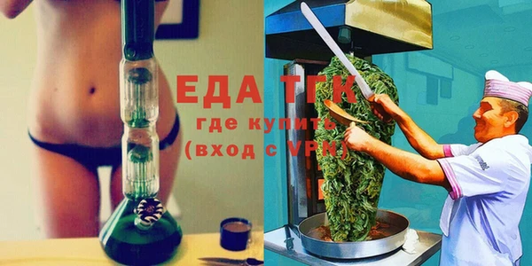 гидра Вязьма