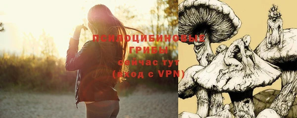 крисы Волоколамск