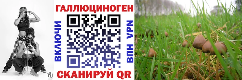 hydra онион  Динская  Галлюциногенные грибы прущие грибы  даркнет клад  даркнет сайт 
